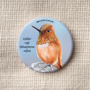 botón colibrí garganta rubí (archilochus colubris) (copia)