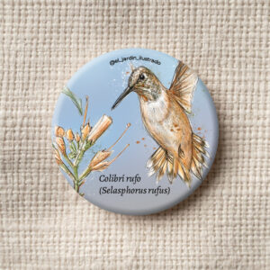 Botón Colibrí rufo (Selasphorus rufus)