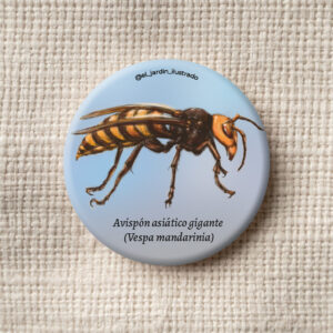 Botón Avispón asiático gigante (Vespa mandarinia)