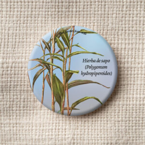 Botón Hierba de sapo (Polygonum hydropiperoides)