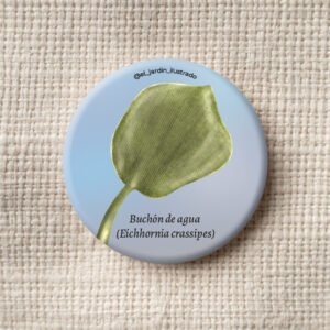 botón buchón de agua (eichhornia crassipes)