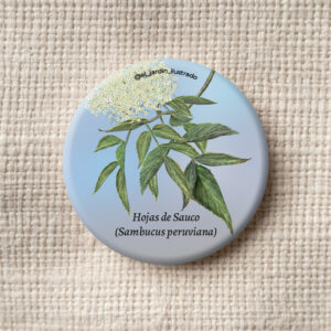 botón sangregado (croton funckianus) (copia)