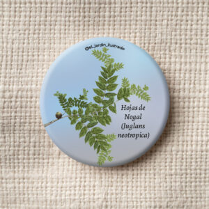 botón mano de oso (oreopanax floribundum) (copia)