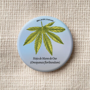 Botón Mano de Oso (Oreopanax floribundum)