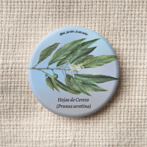 botón hojas de aliso (alnus acuminata) (copia)