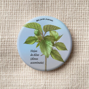 botón lagartija (phenacosaurus heterodermus) (copia)