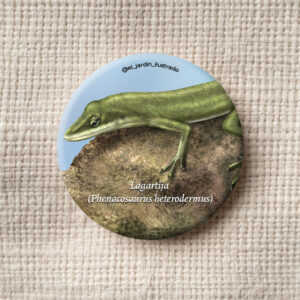 botón serpiente sabanera (atractus crassicaudatus) (copia)