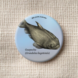 botón cangrejo de agua dulce (neostrengeria spp) (copia)