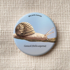 botón cangrejo de agua dulce (neostrengeria spp) (copia) (copia)