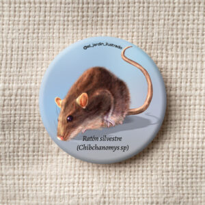 botón fara (didelphis marsupialis) (copia)