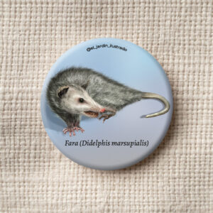 Botón Fara (Didelphis marsupialis)