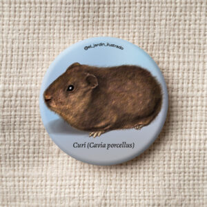 botón mariposa vanesa americana (vanessa virginiensis) (copia)