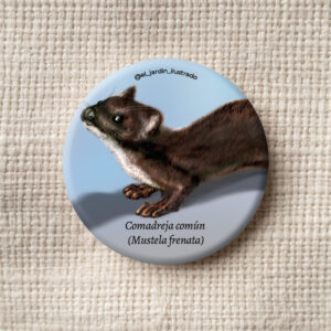 botón mariposa vanesa americana (vanessa virginiensis) (copia)