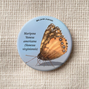 Botón Mariposa Vanesa americana (Vanessa virginiensis)
