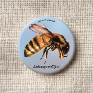 Botón abeja europea (Apis mellifera)