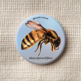 Botón Abeja europea (Apis mellifera)