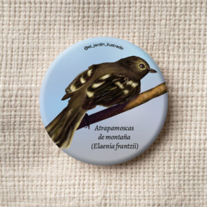 botón carpintero (melanerpes rubricapillus) (copia)