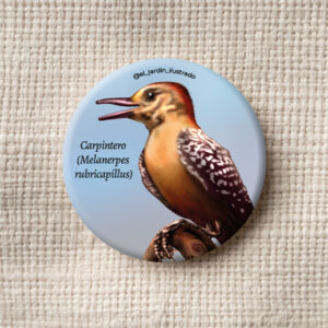 botón chorlo de patas amarillas (tringa melanoleuca) (copia)