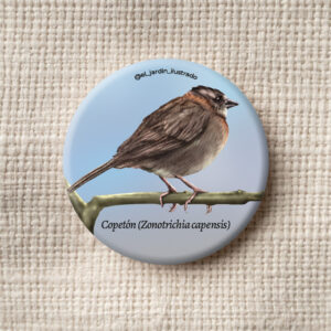 Botón Copetón (Zonotrichia capensis)