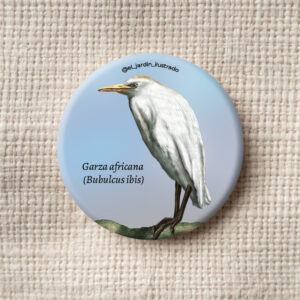 Botón Garza africana (Bubulcus ibis)