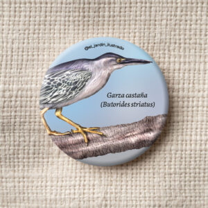 Botón Garza castaña (Butorides striatus)