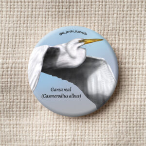 Botón Garza real (Casmerodius albus)