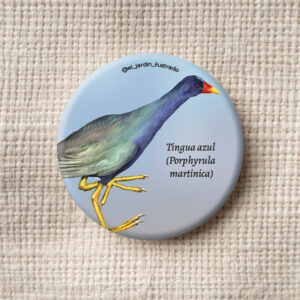 Botón Tingua azul (Porphyrula martinica)