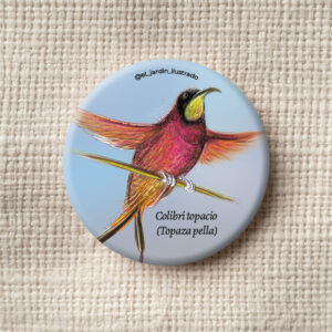 Botón Colibrí topacio (Topaza pella)