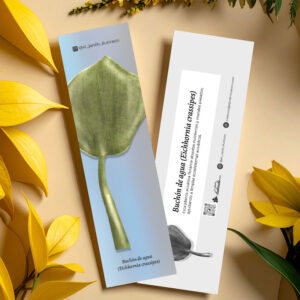 Separador Buchón de agua (Eichhornia crassipes)