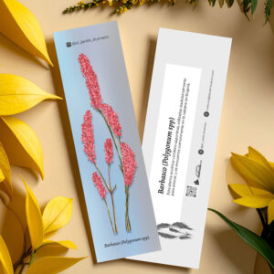 Separador Barbasco (Polygonum spp)