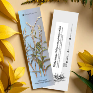 Separador Hierba de sapo (Polygonum hydropiperoides)