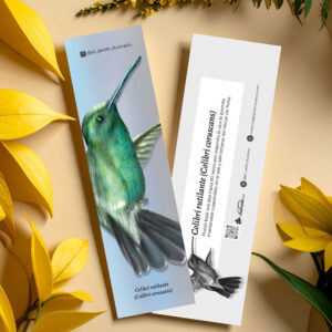 Separador Colibrí rutilante (Colibri coruscans)