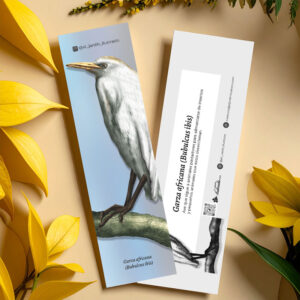 Separador Garza africana (Bubulcus ibis)